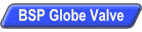 BSP Globe Valve